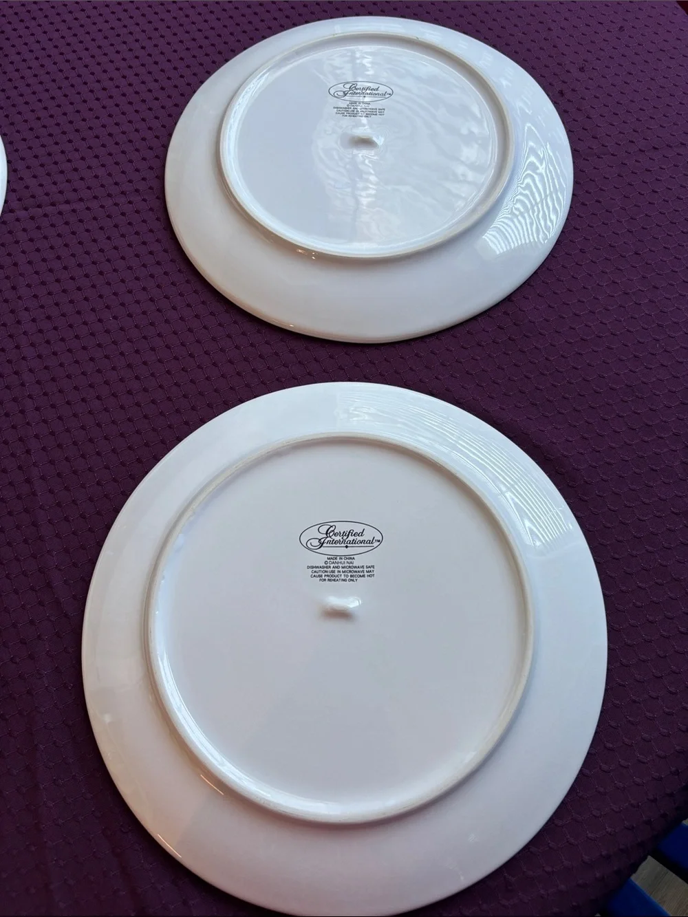 NWOT Certified International “Autumn Harvest” Pumpkin Dinner Plates - Set of 2